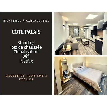 Appartement Cote Palais - Standing - Climatisation - Rdc Carcassonne